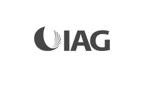 logo-ins-iag